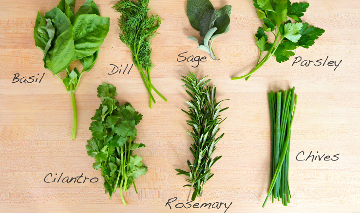 Fresh Herb Chart