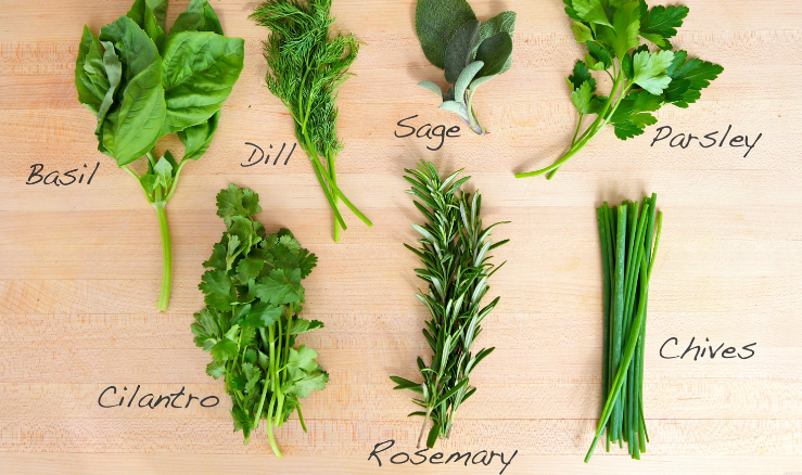 Substituting dried herbs for fresh